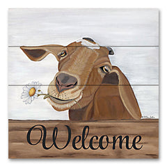 AJ144PAL - Theodore Welcome - 12x12