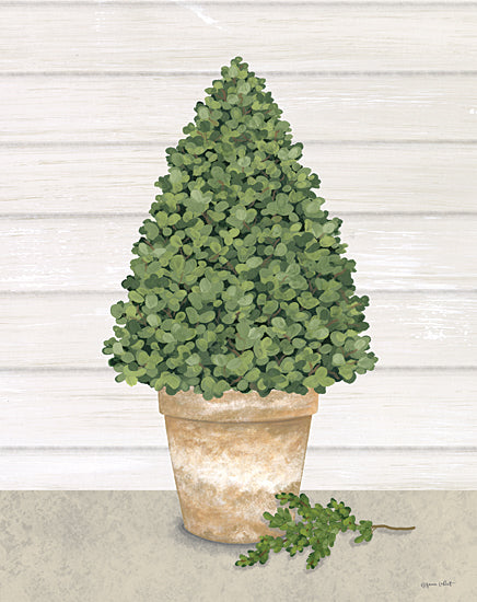 Annie LaPoint Licensing ALP2296LIC - ALP2296LIC - Potted Boxwood Tree - 0  from Penny Lane