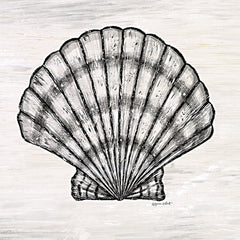 ALP2328 - Scallop Shell - 12x12