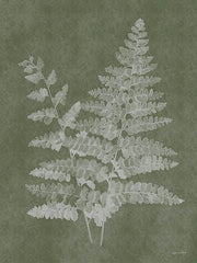 ALP2463 - Woodland Ferns II - 12x16