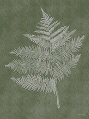 ALP2464 - Woodland Ferns III - 12x16