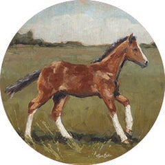 BAKE304RP - Little Filly - 18x18