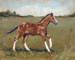 BAKE304 - Little Filly - 16x12