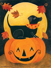 BER1379 - Dog and Pumpkin - 0