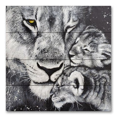 BHAR574PAL - Lioness - 12x12