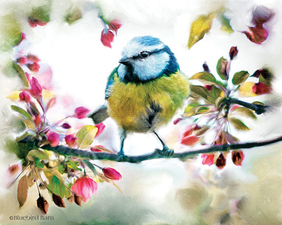 Bluebird Barn BLUE175 - Spring Yellow Bird on a Bough - 16x12 Yellow Bird, Birds, Flowering Tree, Botanical, Springtime from Penny Lane