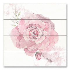 BLUE531PAL - Cottage Rose - 12x12