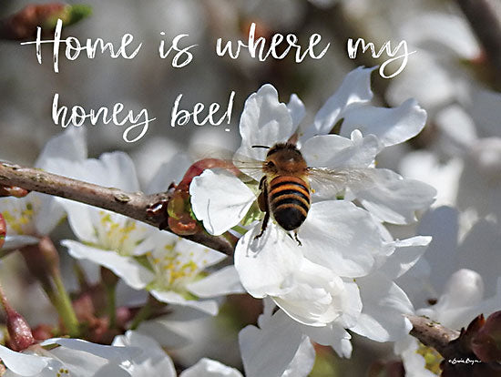 Susie Boyer BOY621 - BOY621 - Home is Where My Honey Bee! - 16x12  Home is Where My Honey Bee, Bees, Flowers, Photography, Insects, Signs from Penny Lane