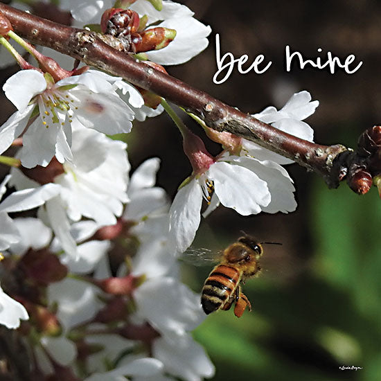 Susie Boyer BOY622 - BOY622 - Bee Mine - 12x12  Be Mine, Bees, Flowers, Photography, Insects, Signs from Penny Lane