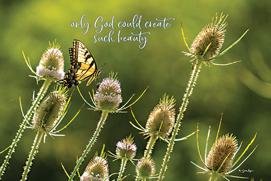 Susie Boyer BOY733 - BOY733 - Such Beauty - 18x12 Spring, Only God Could Create Such Beauty, Flowers, Butterfly, Typography, Signs, Textual Art, Photography, Inspirational from Penny Lane