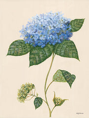 BR501 - Blue Hydrangea - 12x16