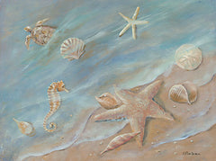 BR509 - Seashore Star I - 16x12