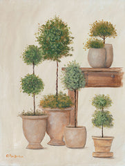 BR511 - Potting Bench & Topiaries I   - 12x16