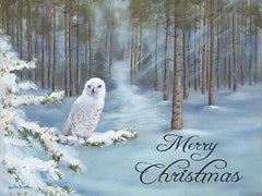 BR533 - Snowy Owl - 16x12