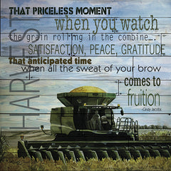 CIN132 - That Priceless Moment - 12x12