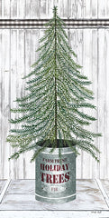 CIN1774 - Galvanized Pot Fir - 9x18