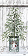 CIN1775 - Galvanized Pot Pine - 9x18