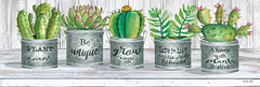 CIN1813A - Galvanized Pot Succulents I - 36x12