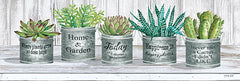 CIN1814A - Galvanized Pot Succulents II - 36x12