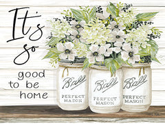 CIN1824 - It's So Good to be Home Ball Jars - 16x12