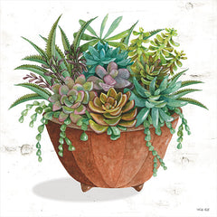 CIN1899 - Terracotta Succulents I    - 12x12