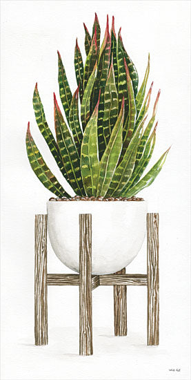 Cindy Jacobs CIN1943 - CIN1943 - White Pots on Stands IV - 9x18 Cactus, Pot, Plant Stand, Shabby Chic from Penny Lane