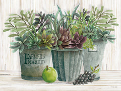 CIN1947 - Farmer Market Succulent Harvest - 16x12