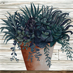 CIN1950 - Remarkable Succulents I - 12x12