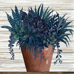 CIN1951 - Remarkable Succulents II - 12x12