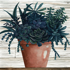 CIN1952 - Remarkable Succulents III - 12x12