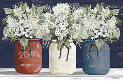 CIN2011 - Red, White & Blue Jar Trio - 18x12