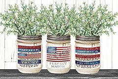 CIN2015 - Patriotic Glass Jar Trio I - 18x12