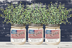 CIN2016 - Patriotic Glass Jar Trio II - 18x12