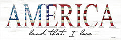 CIN2019A - America Land That I Love - 36x12