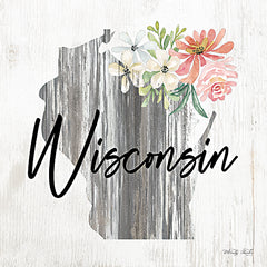 CIN2086 - Floral Wisconsin State Art - 12x12