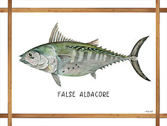 CIN2260 - False Albacore on White - 16x12