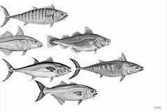 CIN2268 - Variety of Fish I - 18x12