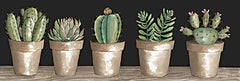 CIN2330A - Cactus Row   - 36x12