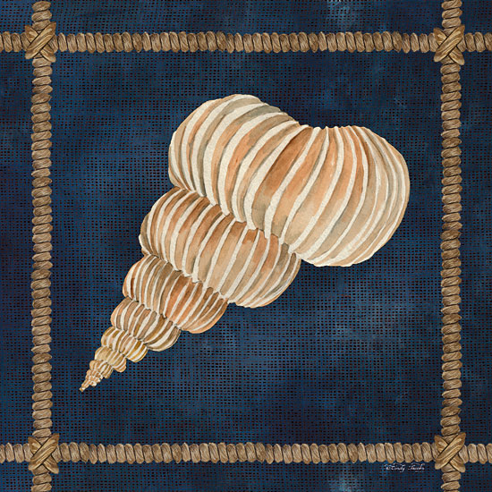 Cindy Jacobs CIN2373 - CIN2373 - Seashell on Navy III - 12x12 Shell, Rope Frame, Blue Background, Coastal from Penny Lane