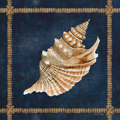 CIN2375 - Seashell on Navy V - 12x12