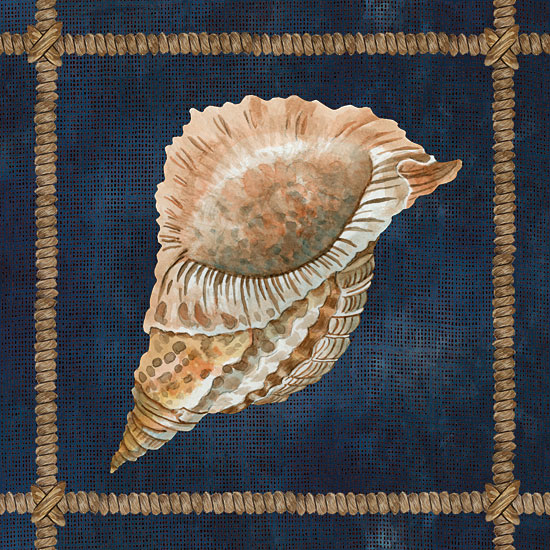 Cindy Jacobs CIN2376 - CIN2376 - Seashell on Navy VI - 12x12 Shell, Rope Frame, Blue Background, Coastal from Penny Lane