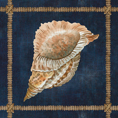 CIN2376 - Seashell on Navy VI - 12x12