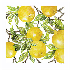 CIN2384 - Lemon Square  - 12x12