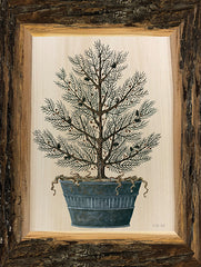 CIN2449 - Woodland Potted Tree I - 12x16