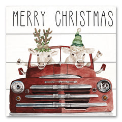 CIN2718PAL - Merry Christmas Cows - 12x12