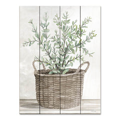 CIN2727PAL - Eucalyptus Basket     - 12x16