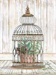 CIN2772 - Caged Beauty I - 12x16