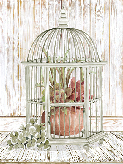 Cindy Jacobs CIN2773 - CIN2773 - Caged Beauty II - 12x16 Birdcage, Succulents, Still Life, Vintage, Antique, Plant from Penny Lane