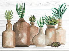 CIN2848 - Botanical Terra Cotta I - 16x12
