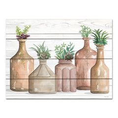 CIN2849PAL - Botanical Terra Cotta II - 16x12